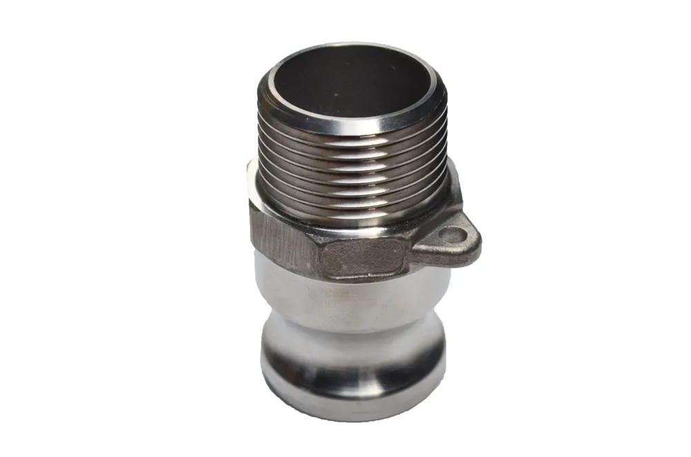 RVS 316L 1.4404 Camlock Type F bu (vader) BSP 4"